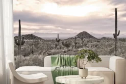 Fototapeta: Roślinna pustynia z kaktusami i skałami