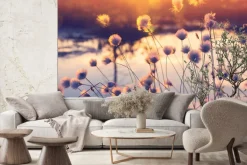 Fototapeta: Rośliny i kwiaty polne o zachodzie słońca krajobraz