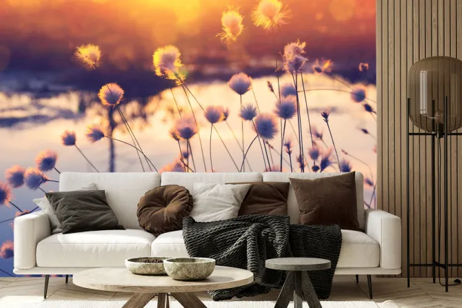 Fototapeta: Rośliny i kwiaty polne o zachodzie słońca krajobraz