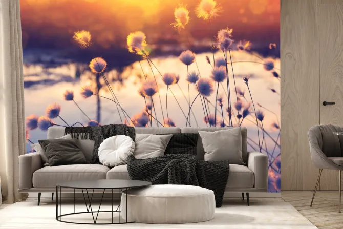 Fototapeta: Rośliny i kwiaty polne o zachodzie słońca krajobraz