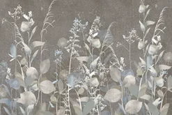 Fototapeta: Rośliny i kwiaty polne