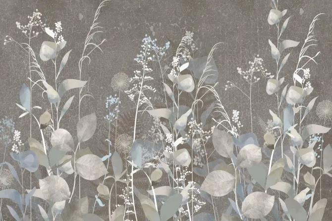 Fototapeta: Rośliny i kwiaty polne