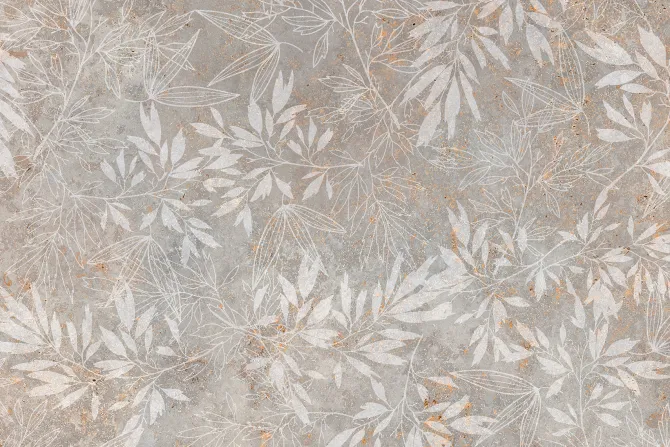 Fototapeta: Rośliny i liście na betonowym tle