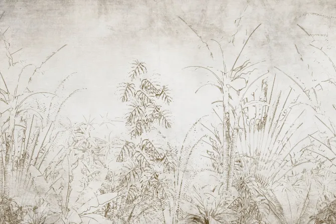 Fototapeta: Rośliny tropikalne na tle beżowo szarego betonu