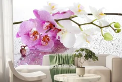 Fototapeta: Różowe i białe storczyki na kroplach wody