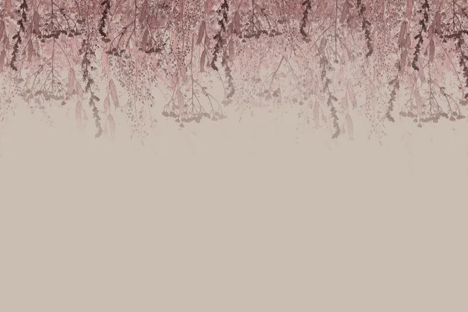 Fototapeta: Różowe kwiaty i zwisające rośliny na jasnym tle botaniczny motyw