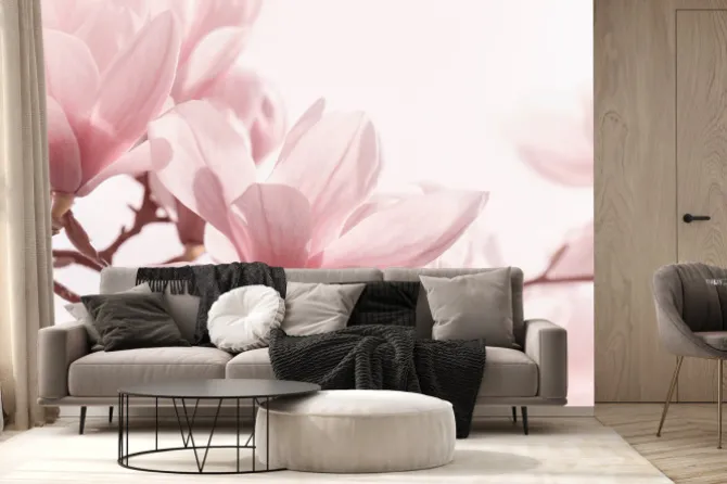 Fototapeta: Różowe kwiaty magnolii na jasnym tle