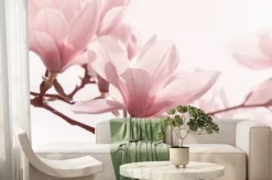 Fototapeta: Różowe kwiaty magnolii na jasnym tle