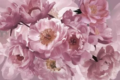 Fototapeta: Różowe kwiaty piwonie z bliska