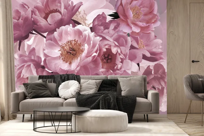 Fototapeta: Różowe kwiaty piwonie z bliska