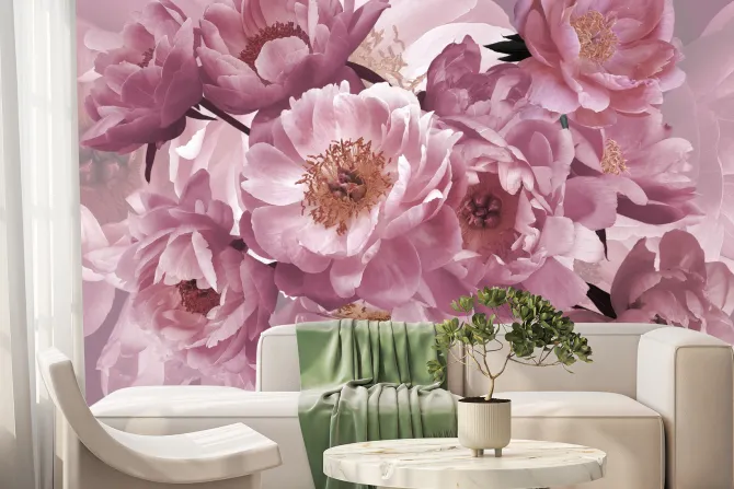 Fototapeta: Różowe kwiaty piwonie z bliska