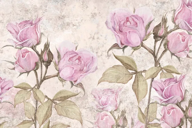 Fototapeta: Różowe kwiaty róże na tle z teksturą betonu