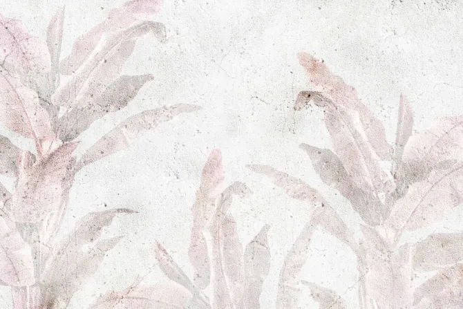 Fototapeta: Różowe liście palm na betonie