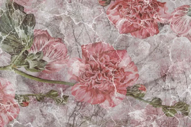 Fototapeta: Różowe piwonie na murze z pęknięciami