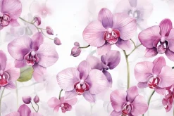 Fototapeta: Różowe storczyki z odbiciem cienia