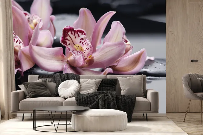 Fototapeta: Różowe storczyki na wodzie