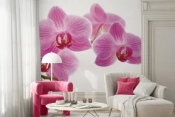 Fototapeta: Różowy kwiat storczyk na białym tle