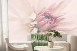 Fototapeta: Różowy kwiat z bliska