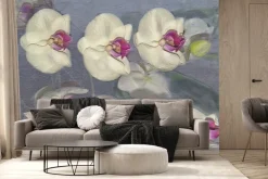 Fototapeta: Rozmyte płatki storczyka na szarym tle