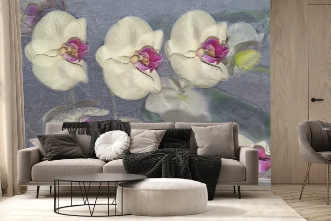 Fototapeta: Rozmyte płatki storczyka na szarym tle