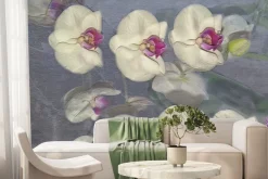 Fototapeta: Rozmyte płatki storczyka na szarym tle