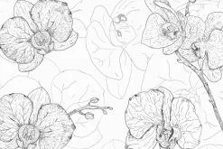 Fototapeta: Rysowany szkic kwiatów orchidei