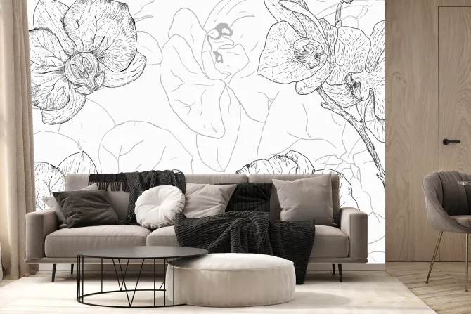 Fototapeta: Rysowany szkic kwiatów orchidei