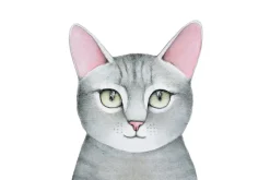 Fototapeta: Rysunek szarego kota na białym tle