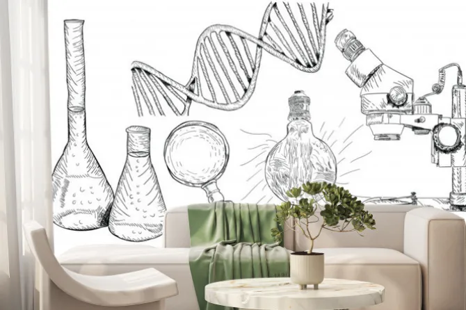 Fototapeta: Science chemistry set hand drawn vector. school formula, physics