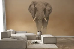 Fototapeta: Słoń idący po pustyni we mgle