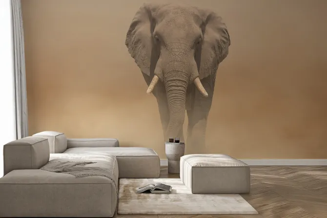 Fototapeta: Słoń idący po pustyni we mgle