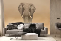 Fototapeta: Słoń idący po pustyni we mgle