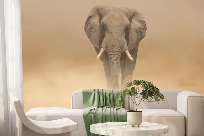 Fototapeta: Słoń idący po pustyni we mgle