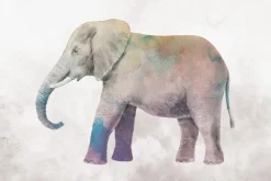 Fototapeta: Słoń w kolorowej akwareli