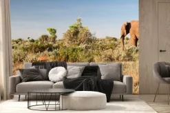 Fototapeta: Słoń w tsavo east national park, kenia