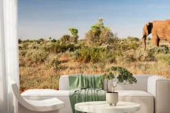 Fototapeta: Słoń w tsavo east national park, kenia