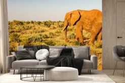 Fototapeta: Słoń w tsavo east national park, kenia