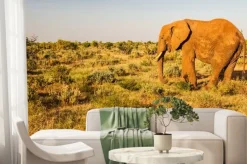 Fototapeta: Słoń w tsavo east national park, kenia