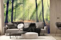 Fototapeta: Słońce wpadające do lasu