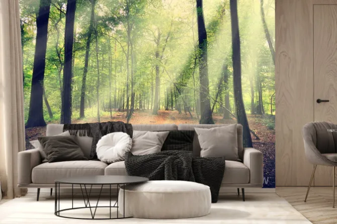 Fototapeta: Słońce wpadające do lasu