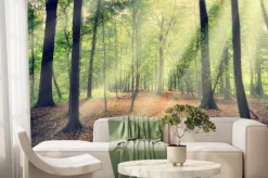 Fototapeta: Słońce wpadające do lasu