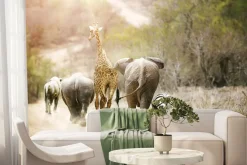 Fototapeta: Słonie idące z żyrafą i zebrą