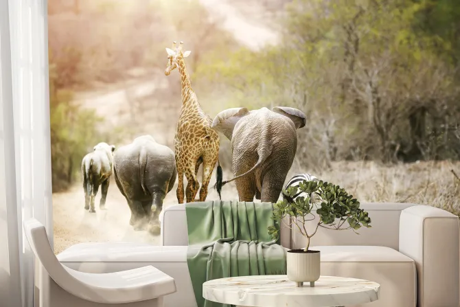Fototapeta: Słonie idące z żyrafą i zebrą