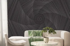 Fototapeta: Spiders web