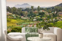 Fototapeta: Sri lanka