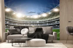 Fototapeta: Stadion piłkarski i zielona murawa