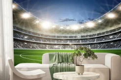 Fototapeta: Stadion piłkarski i zielona murawa