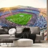 Fototapeta: Stadion piłkarski w barcelonie podczas meczu