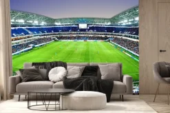 Fototapeta: Stadion piłkarski podczas meczu w piłkę nożną