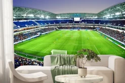 Fototapeta: Stadion piłkarski podczas meczu w piłkę nożną